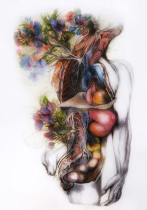 anatomical painting, dissected human, blue peony