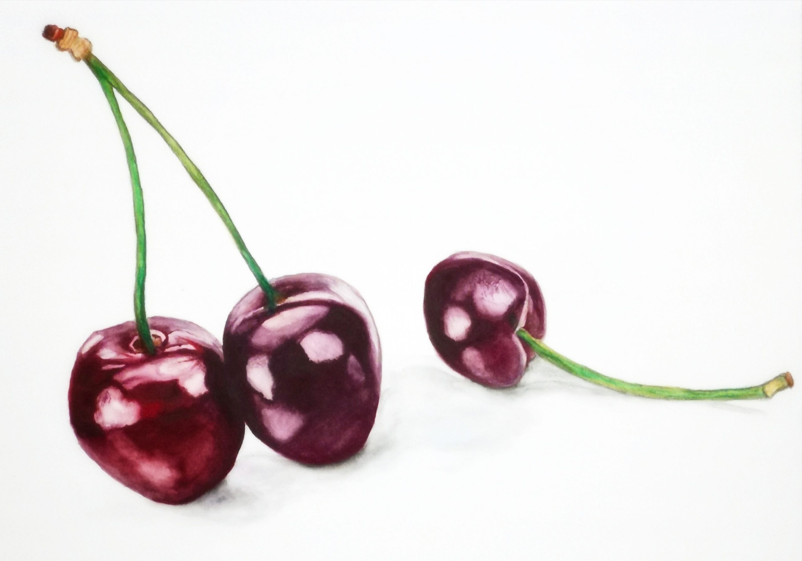 Cherry - Original - Painting Still Life in Watercolour - Jolanta
