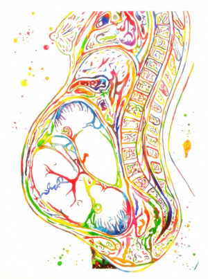 twin pregnancy, colorful, painting, watercolor, profile