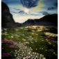 painting, landscape, sunshine, montains, rock, flower field, blue sky, yellow and white flowers