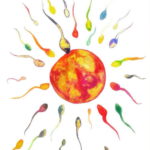fertilization, ovum, sperm, colorful, watercolor painting, white background, colors gold red blue purple pink green