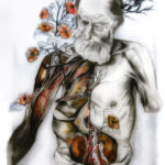 anatomical painting, dissected old man, bird, red flowers