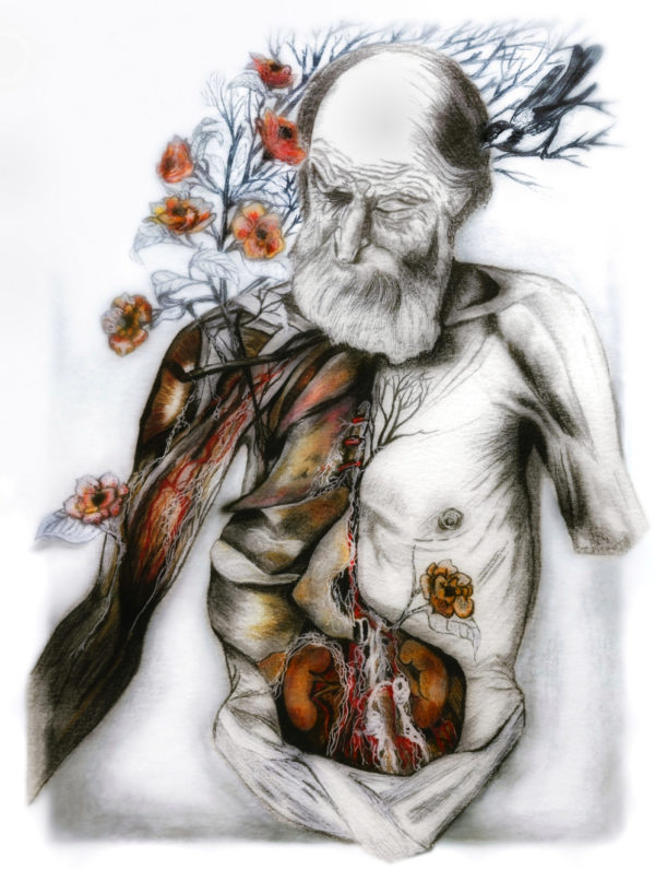 anatomical painting, dissected old man, bird, red flowers