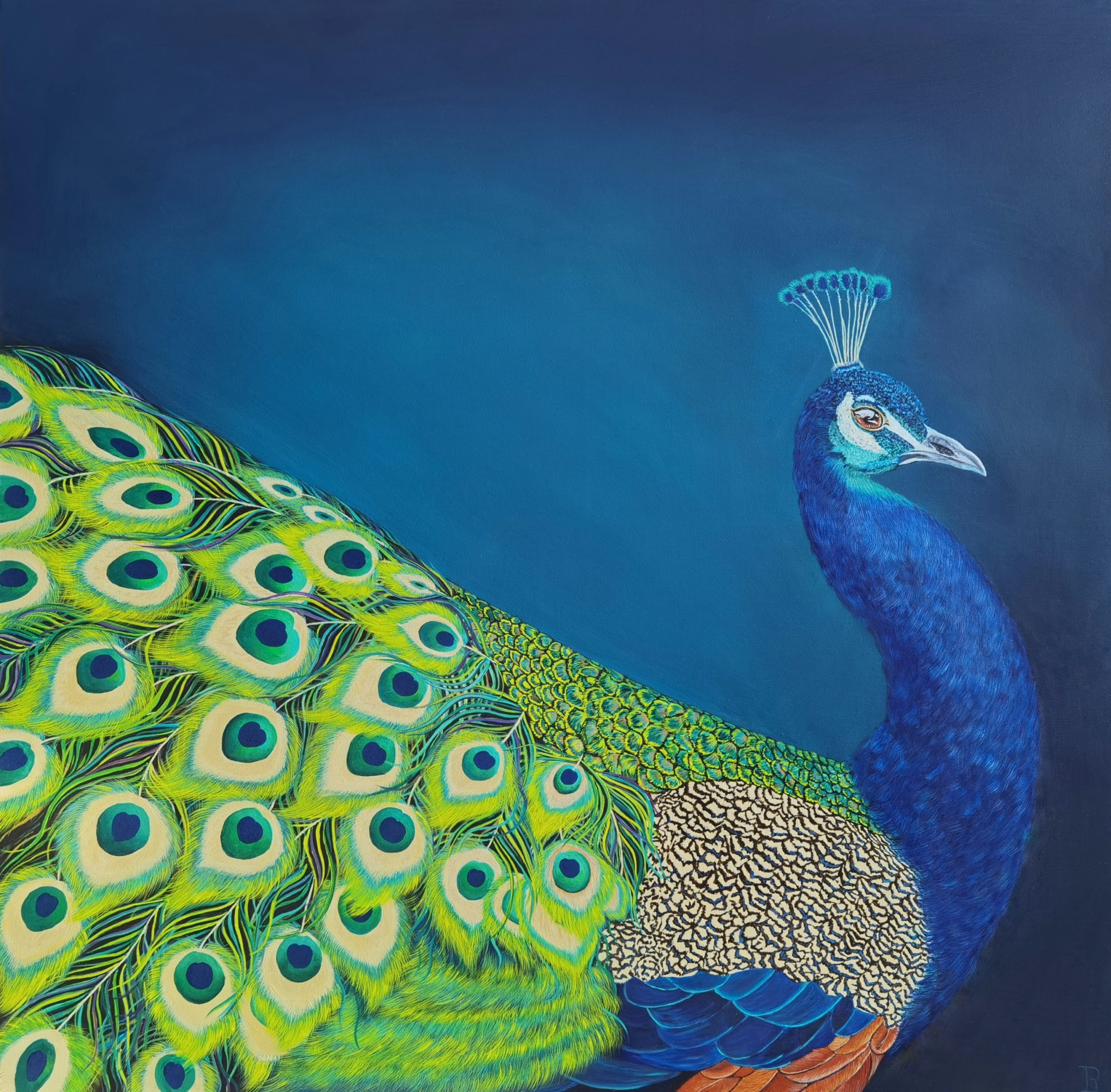 Peacock - Original - Animal - finely detailed artwork - Jolanta ...